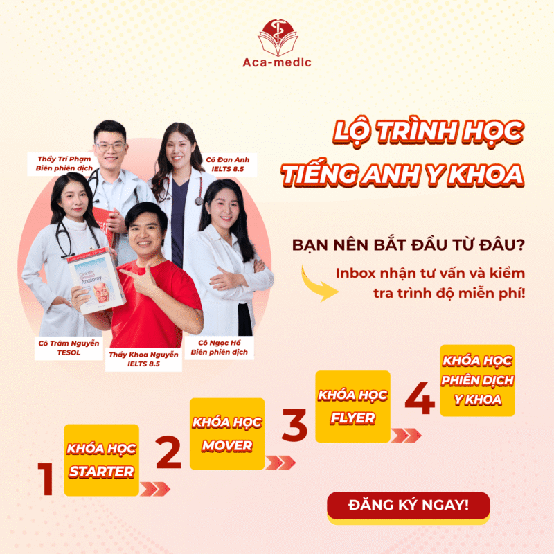 Lộ trình để học tiếng Anh y khoa đến chuyên ngành giải phẫu sinh lý